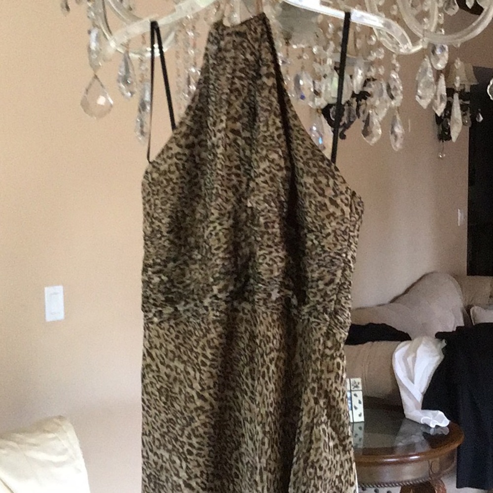 Dress by Laundry Shelly Segal